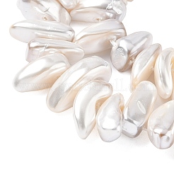 Electroplated Shell Pearl Beads&nbsp;BSHE-D301-01