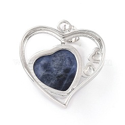 Natural Sodalite Pendants&nbsp;G-C236-01G-P-RS
