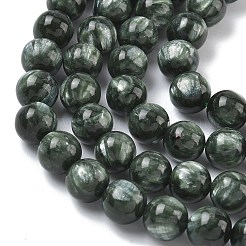 Natural Seraphinite Beads Strands&nbsp;G-C270-O01-07