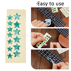 2 Sheets 2 Styles Paper Picture Stickers for Guitar Fingerboard Decoration&nbsp;STIC-FH0001-30