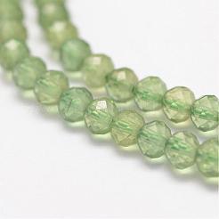 Natural Green Apatite Beads Strands&nbsp;G-F460-58