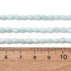 Dyed Natural Freshwater Shell Beads Strands&nbsp;SH-CBA2978-06C