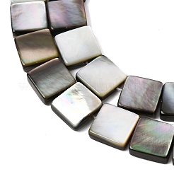 Natural Black Lip Shell Beads Strands&nbsp;SHEL-A006-09A