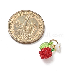Glass Seed Beaded Pendants&nbsp;PALLOY-MZ00906