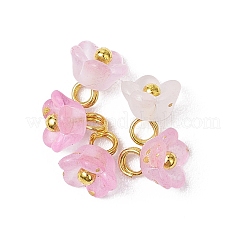 60Pcs 12 Colors Frosted Acrylic Flower Charms&nbsp;PALLOY-JF03550