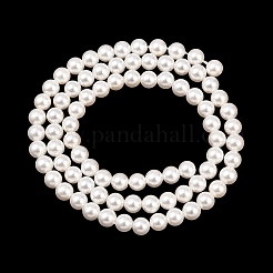 Electroplated Shell Pearl Beads Strands&nbsp;BSHE-C011-02