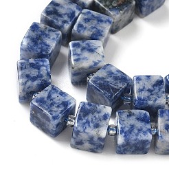 Natural Blue Spot Jasper Beads Strands&nbsp;G-D338-A02
