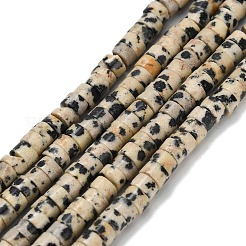 Natural Dalmatian Jasper Beads Strands&nbsp;G-Z110-A14-2x4mm