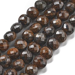 Natural Bronzite Beads Strands&nbsp;G-C179-A07-02