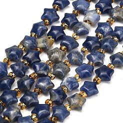 Natural Sodalite Beads Strands&nbsp;G-Z080-A28-8mm