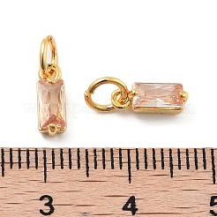 Brass Micro Pave Cubic Zirconia Charms&nbsp;ZIRC-F111-03G-11