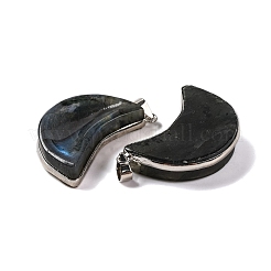 Natural Labradorite Pendants&nbsp;G-B085-16P