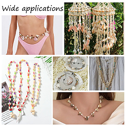 4 Strands Natural Shell Beads Strands&nbsp;BSHE-PH0001-37