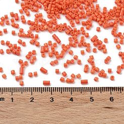 Baking Paint Glass Seed Beads&nbsp;X-SEED-S042-05B-84