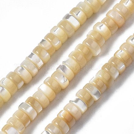 Natural Trochid Shell/Trochus Shell Beads Strands&nbsp;SSHEL-S266-019B-01-1