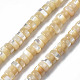 Natural Trochid Shell/Trochus Shell Beads Strands&nbsp;SSHEL-S266-019B-01-1