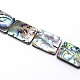 Natural Paua Shell Beads Strands&nbsp;SSHEL-J047-10B-01-3