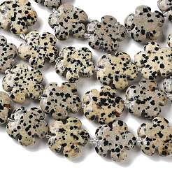 Natural Dalmatian Jasper Beads Strands&nbsp;G-L241A-22