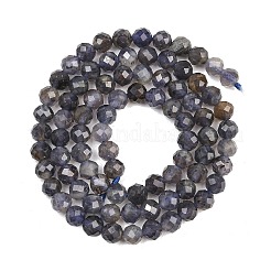 Natural Iolite Beads Strands&nbsp;G-RM250101-D7