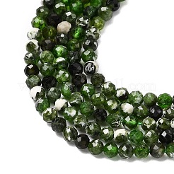 Natural Diopside Beads Strands&nbsp;LS-G-G188-B14-03