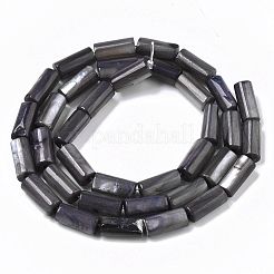 Natural Freshwater Shell Beads&nbsp;SHEL-R047-01A