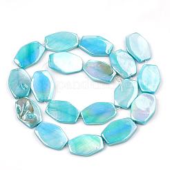 AB Color Freshwater Shell Bead Strands&nbsp;SHEL-T009-04