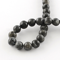Natural Larvikite Round Beads Strands&nbsp;X-G-R342-6mm-09