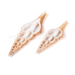 Natural Shell Big Pendants&nbsp;BSHE-T015-16