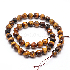 Natural Tiger Eye Beads Strands&nbsp;G-F260-02-12mm