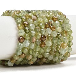 Natural Green Garnet Beads Strands&nbsp;G-B175-D12-5mm