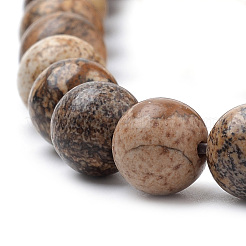 Natural Picture Jasper Beads Strands&nbsp;X-G-S259-27-8mm