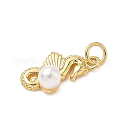 Brass Pendants&nbsp;KK-D426-26B-G