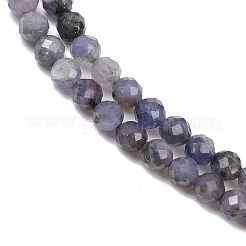 Natural Tanzanite Beads Strands&nbsp;G-C255-A01-4mm