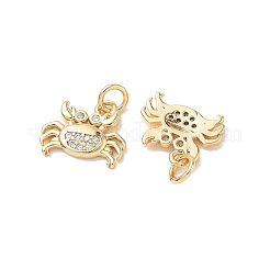 SHEGRACE Brass Micro Pave Cubic Zirconia Pendants&nbsp;XGRQ3D017-456G