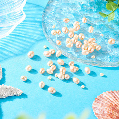 55Pcs 4 Styles Natural Cultured Freshwater Pearl Beads&nbsp;PEAR-TA0001-18
