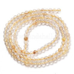 Natural Gold Rutilated Quartz Beads Strands&nbsp;LS-G-G161-A17-05