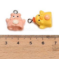 Animal Theme Opaque Resin Pendants&nbsp;RESI-B047-06