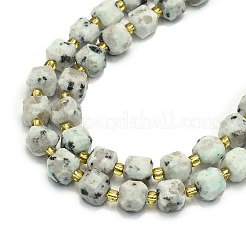 Natural Sesame Jasper Beads Strands&nbsp;G-I376-D61-01