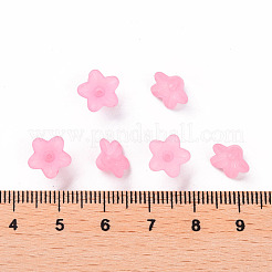 Transparent Acrylic Beads&nbsp;X-PL554-02