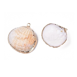 Electroplate Natural Sea Shell Pendants&nbsp;SSHEL-Q100-17KCG