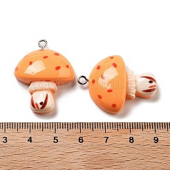 Resin Pendants&nbsp;RESI-Z031-01B