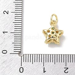 Brass Micro Pave Cubic Zirconia Charms&nbsp;KK-L268-030G-03