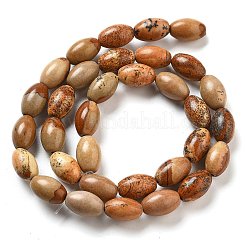 Natural Picture Jasper Beads Strands&nbsp;G-B106-B21-01