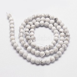 Natural Howlite Beads Strands&nbsp;G-D840-44-4mm
