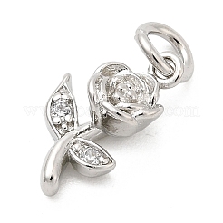 Brass Micro Pave Cubic Zirconia Charms&nbsp;KK-C139-15P