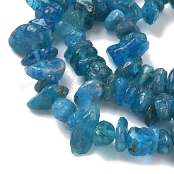 Natural Blue Apatite Beads Strands&nbsp;GG-CBAAEDE-A02