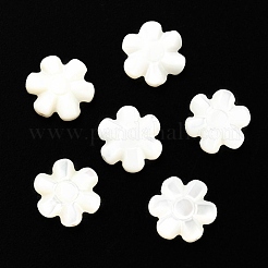 Natural Trochid Shell/Trochus Shell Beads&nbsp;SSHEL-R145-07