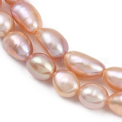 Natural Cultured Freshwater Pearl Beads Strands&nbsp;PEAR-P064-20I-05D