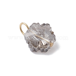 5Pcs 5 Colors Electroplate Glass Snowflake Charms&nbsp;PALLOY-JF04336-01