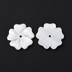 Natural White Shell Beads&nbsp;SSHEL-C011-08